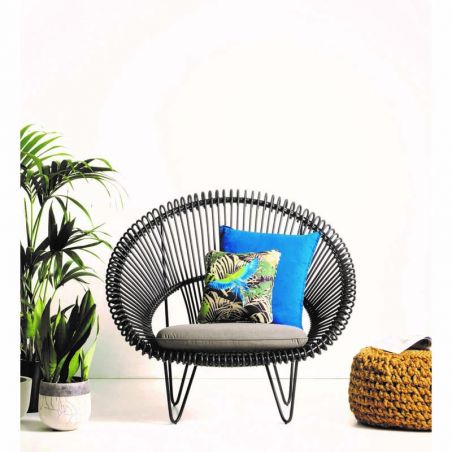 ROY COCOON + COUSSIN ASSISE CAT. C