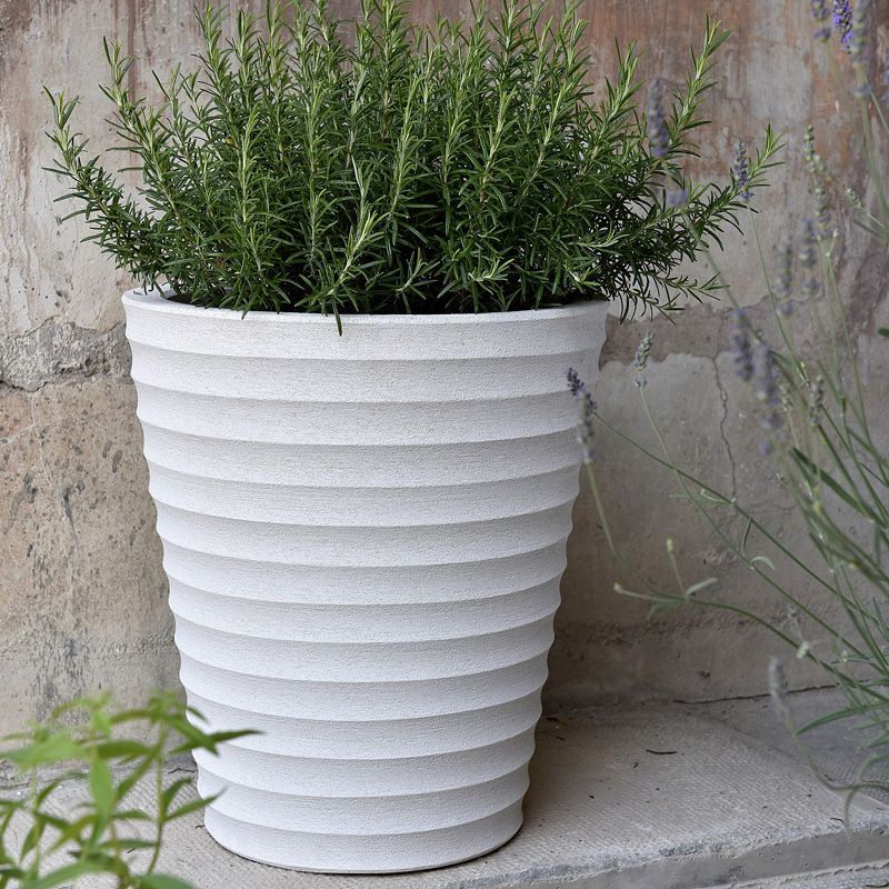 Cycas Plante d'intérieur ou extérieur avec Pot céramique - Meubles
